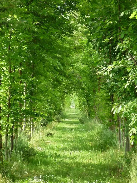 Фермерский дом Вилла Agriturismo Ca' Marcello Мира Италия